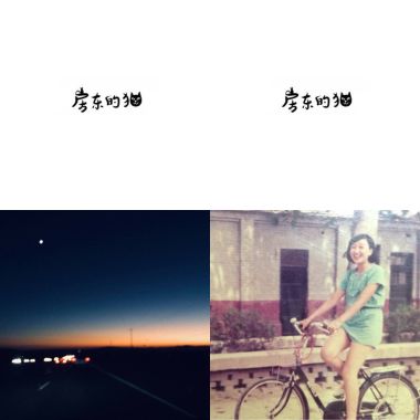 房東的貓