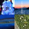 還沒上串流
