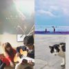 悠哉