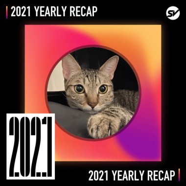 2021 個人年度精選之最