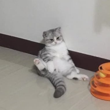 ?
