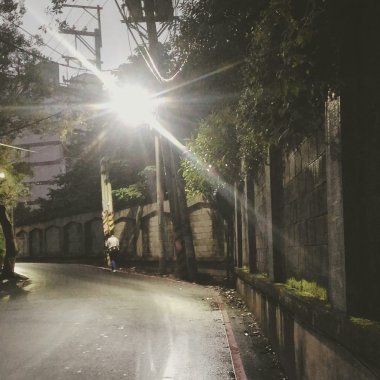 我的歌單