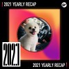 2021 個人年度精選之最
