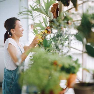范宸菲