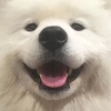 時而溫柔/時而沉靜