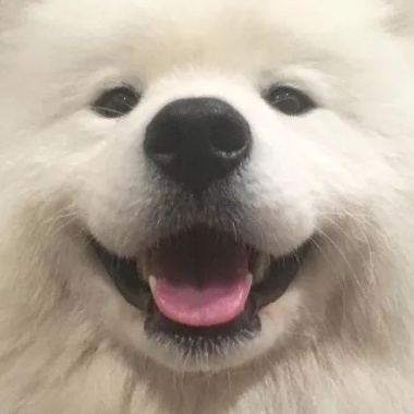時而溫柔/時而沉靜