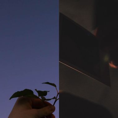 c.