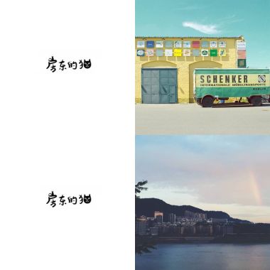 房東的貓