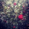 我在這裡