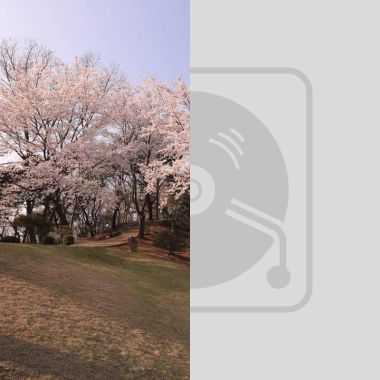睡眠