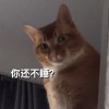 Sleep inside
