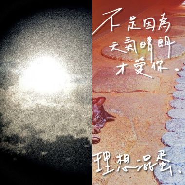 理想混蛋