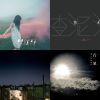 我的歌單  1206