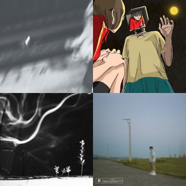 🤍