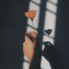 晚安