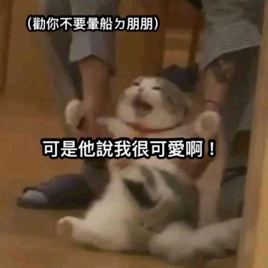 熱戀限定??‍?