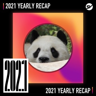 2021 個人年度精選之最