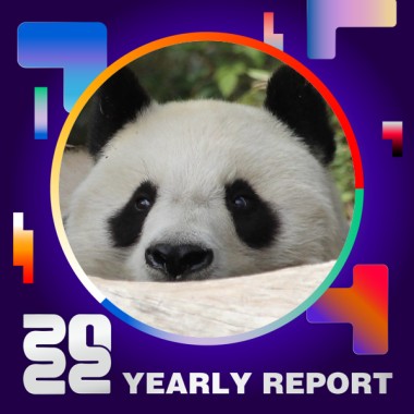 2022 個人年度精選