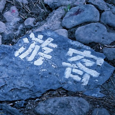 罗生门游客