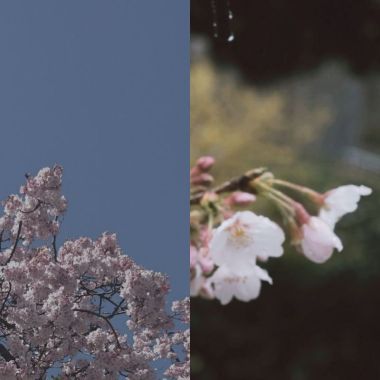 空白