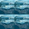whale fall