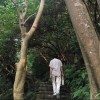 不要讲话啦