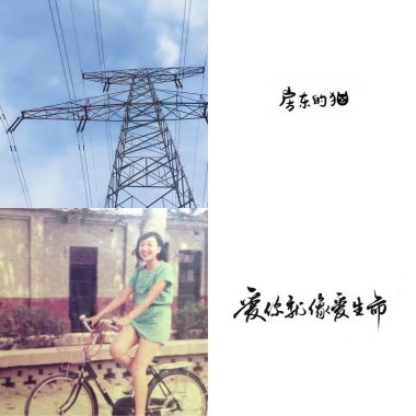 我的歌單 6