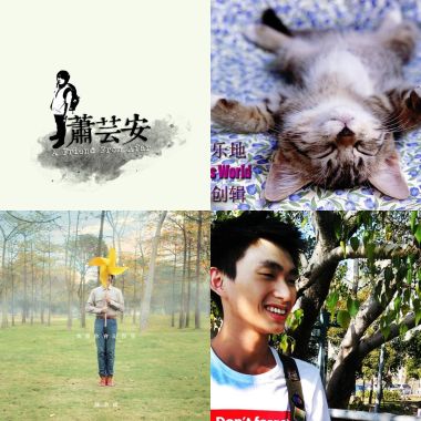 抒情歌