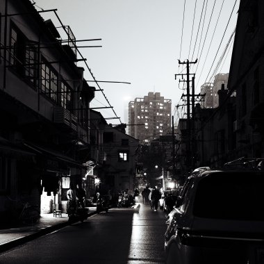 冬眠期的梦