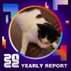 2022 個人年度精選