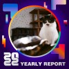 2022 個人年度精選