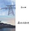 房東的貓
