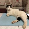 test123
