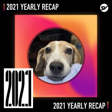 2021 個人年度精選之最