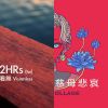 我的歌單
