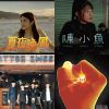 我的歌單 11