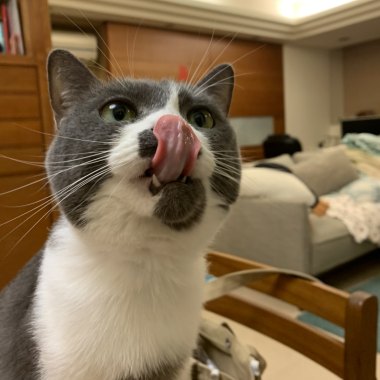 街聲才聽的到