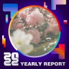 2022 個人年度精選