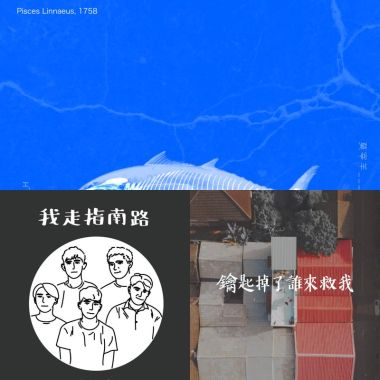 我的歌單