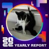 2022 個人年度精選
