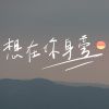 我的歌單 3
