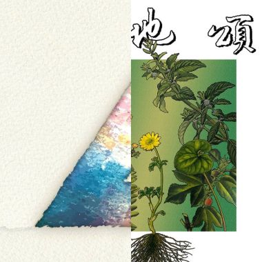 純音樂