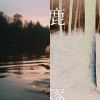 感覺莓果
