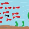 Swimmy小黑魚樂團