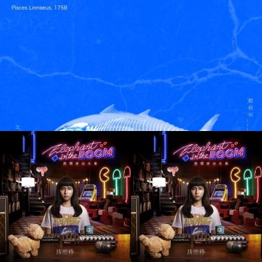 中文