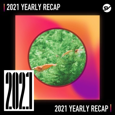 2021 個人年度精選之最