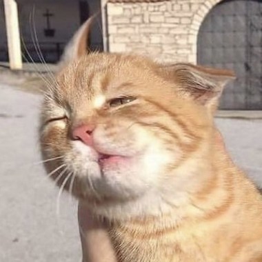 不好聽退費  