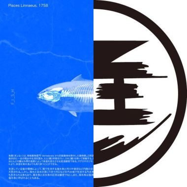 上班聽很好
