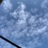老王の愛