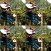 WoodyWoody
